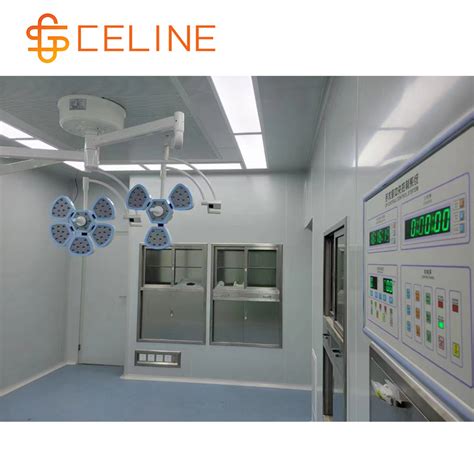 celine hospital